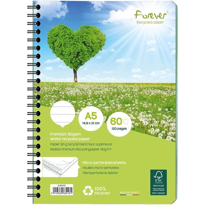 Clairefontaine Studium - Cahier à Spirale A4 (21x29,7 Cm) - 160 Pages - Grands Carreaux (Seyes) - Feuilles Perforées Détachables - Disponible Dans Différentes Couleurs Pas Cher | Bureau Vallée