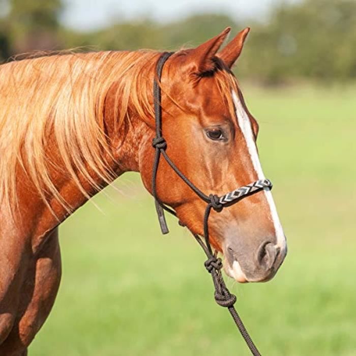 Support Showman en nylon bronze avec bandeau nez en cuir fleur de