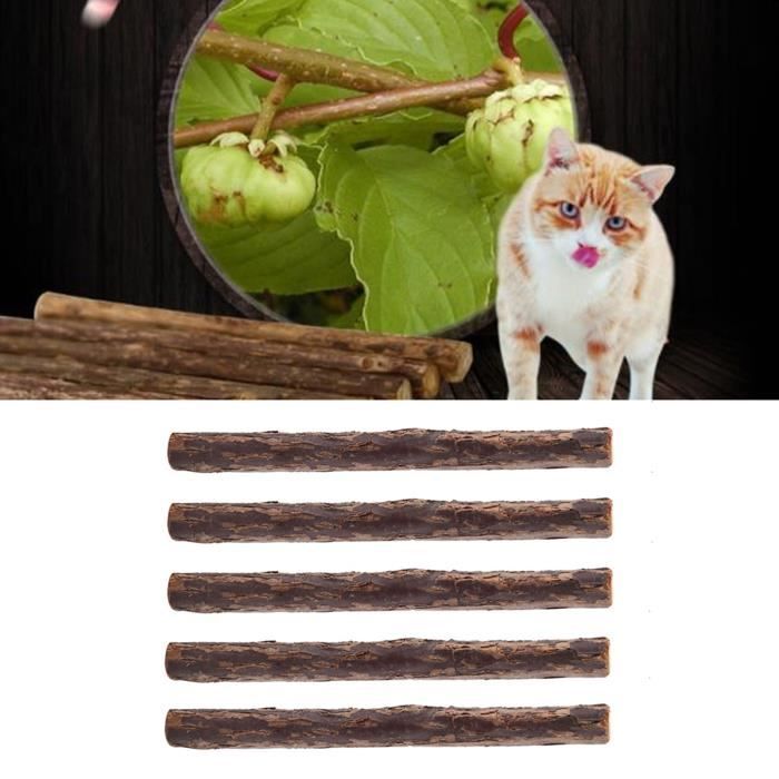 5 pièces/paquet Bâton à mâcher pour chat pour animaux de compagnie comme jouet -ruralshop