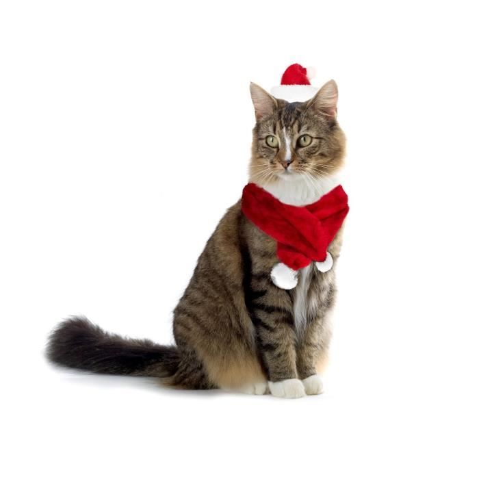 064234 Set Bonnet Et écharpe Père Noël Pour Chiens Et Chats De Petite Taille