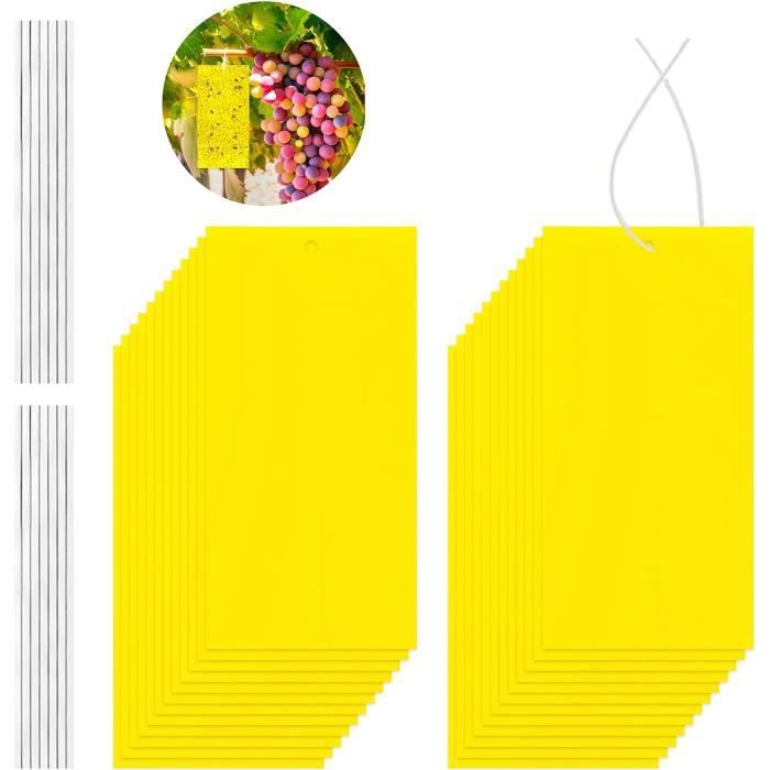 Muta In Neoprene 3mm Uomo - Per Snorkeling, Surf E Sport Acquatici - Foto 4