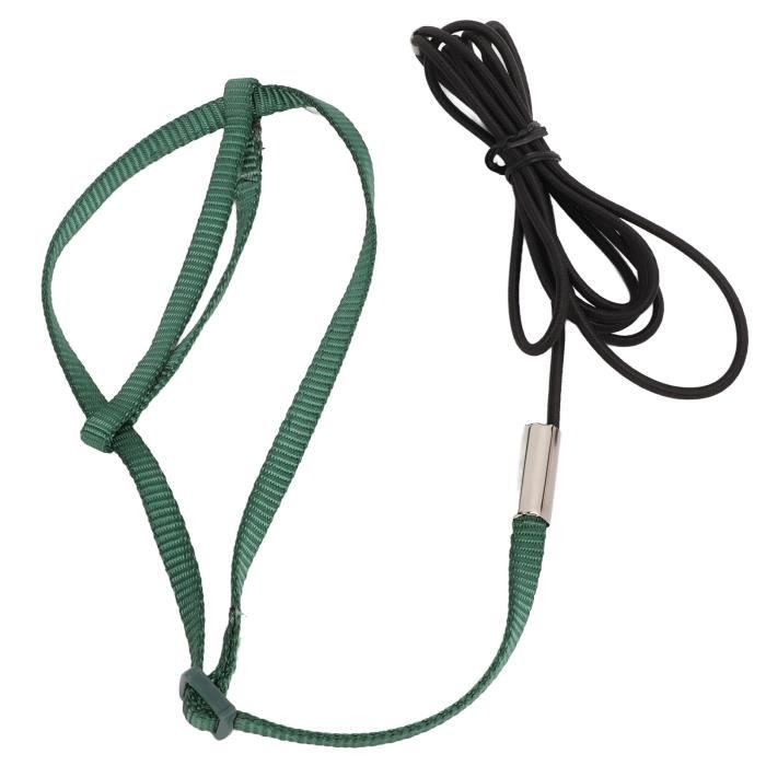 Comparer les prix de Laisse de harnais pour oiseaux - SURENHAP - Corde de vol pour perroquet - Nylon doux - Réglable - Léger