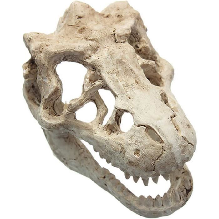 Coiffe Crâne De Dinosaure Accessoire coiffure squelette décoration costume | Bandeau os dinosaure cosplay Accessoire Réaliste Horreur Effrayant Adulte Fête Mascarade Halloween Cosplay De Rôle