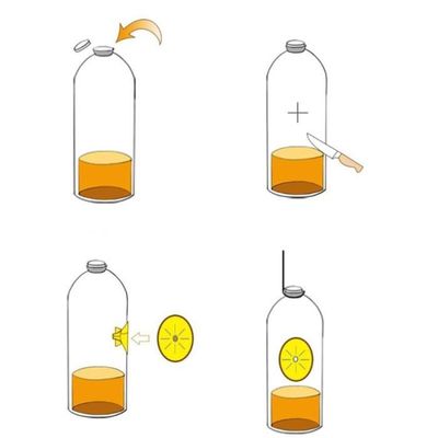 10 Pièges à Guêpes Réutilisables – Forme Fleur Jaune, Entonnoir à Bouteille – Pour Jardin, Pique-nique, Terrasse