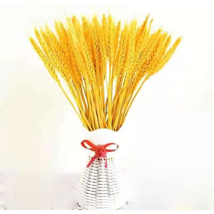 100 épis De Blé Séchés Naturels 40cm - Déco Maison Ou Bouquet - Couleur Naturelle