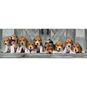PUZZLE Puzzle Panorama Animaux Chiens Beagles 1000 Pieces