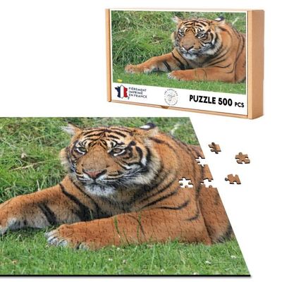 Puzzle - Sanctuaire du tigre - 3000 pièces - Castorland