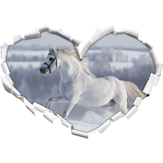 cheval-blanc-en-forme-de-coeur-neige-prairie-dans.jpg