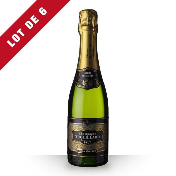 6X Trouillard Brut 37,5cl - Champagne