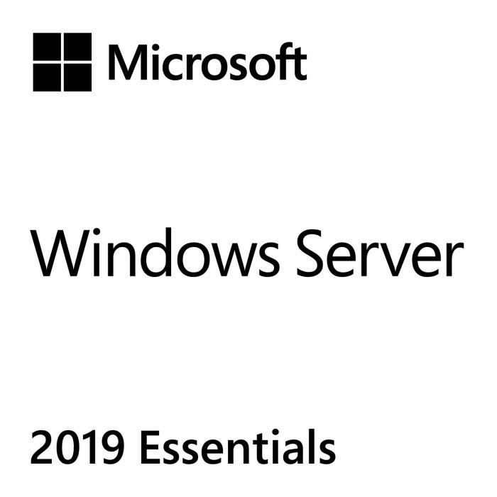 MICROSOFT Système d'exploitation Microsoft Windows Server 2019 Essentials