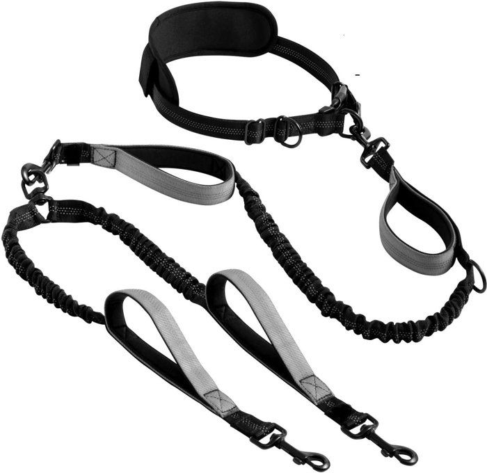 Meilleurs prix pour Chiens en laisse de jogging, laisse pour chien à double laisse
