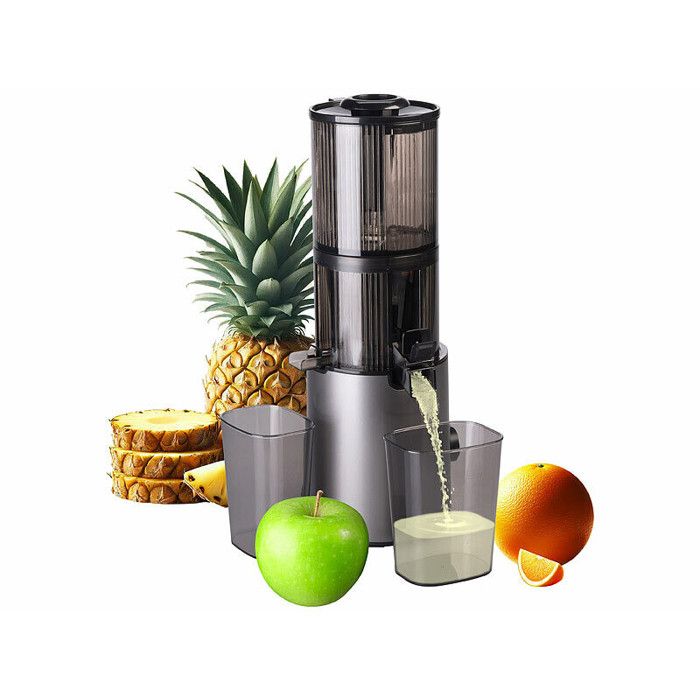 Extracteur de jus électrique à rotation lente 200 W - Rosenstein Et Sohne