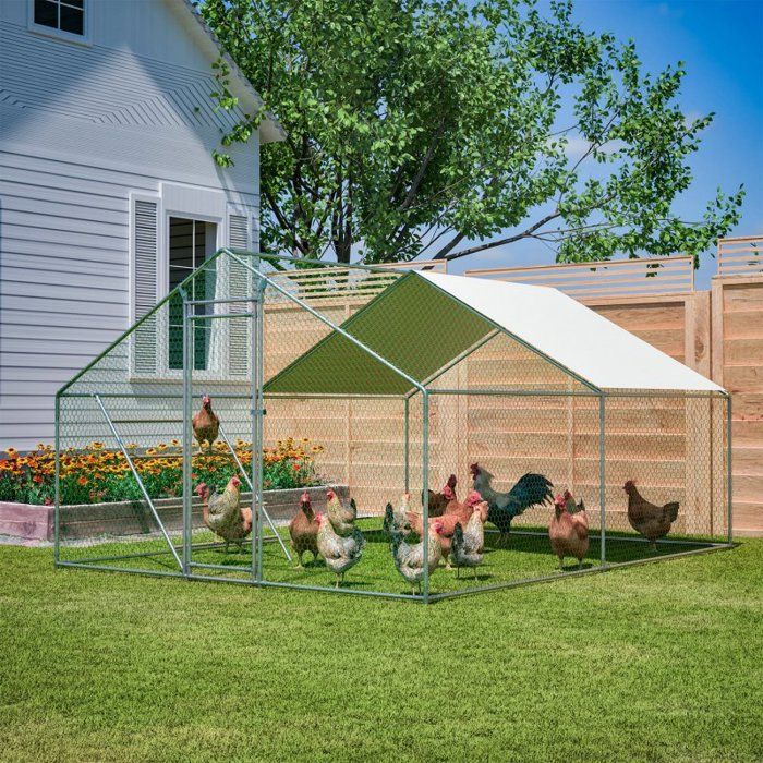 Comparer les prix de Poulailler 3x4m avec échelle à perchoir et verrou de sécurité - Bâche imperméable avec protection UVtubes en acier renforcés de 1