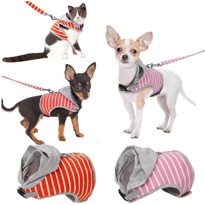 Rose Taille S Harnais à Capuche Pour Chat Petit Chien Promenade Animal Laisse Sangle Réglable