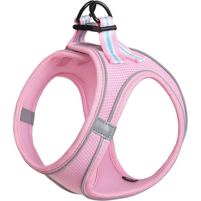 Harnais Et Laisse Pour Petit Chien Ou Chat - Maille Douce Respirante - Design 'Step-In' Réglable - Bandes Réfléchissantes - Sans Traction - Taille XS à L