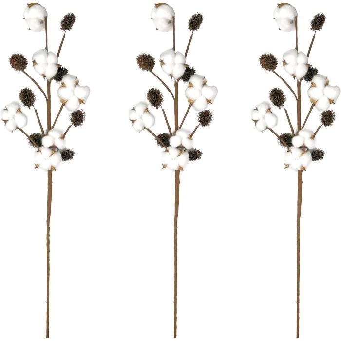 3pcs fleurs de coton naturelle fleurs sechees tige coton plantes fleur  naturel fausses coton branches decorative pour vase remplis - Cdiscount  Maison