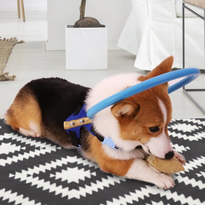 Meilleurs prix pour EBTOOLS guide principal Anneau de sécurité pour chien aveugle Aide au comportement pour chiens Protect Angel Wing Blue (S)