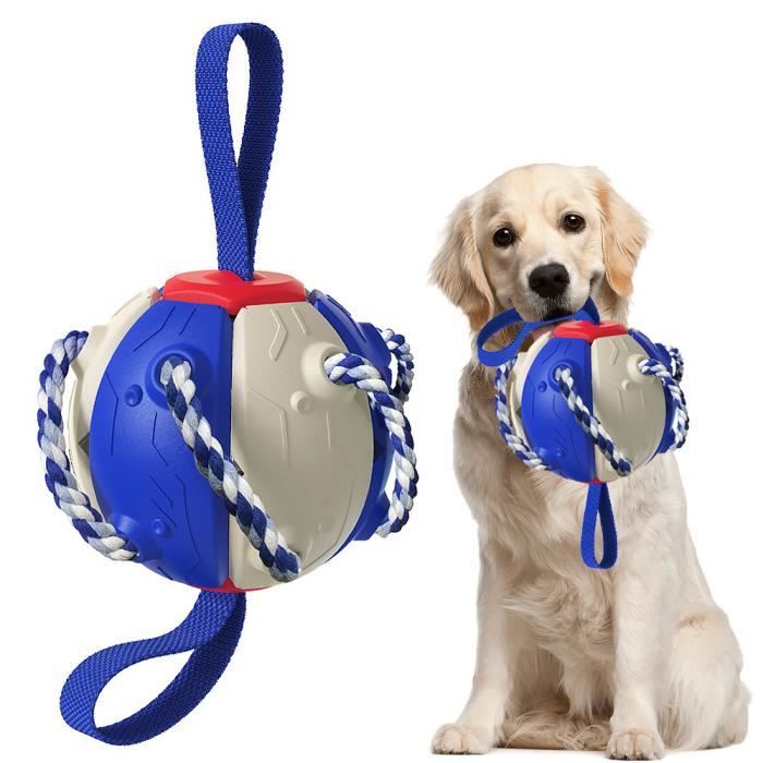 Jouets éducatifs pour animaux de compagnie,Entraînement à l'extérieur,frisbee interactif,Balle à mâcher pour chien,Bleu + blanc