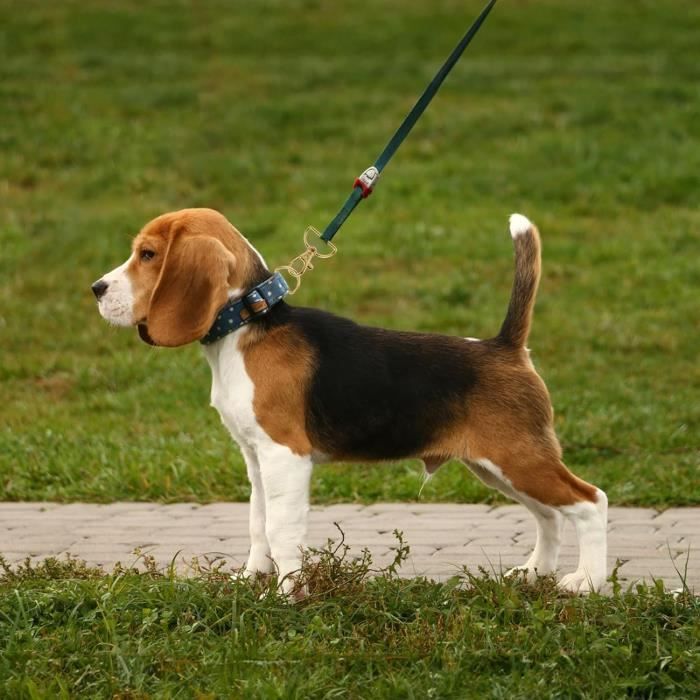 Lot De 12 Accessoires De Sac à Coudre - Anneaux En D De 40 Mm