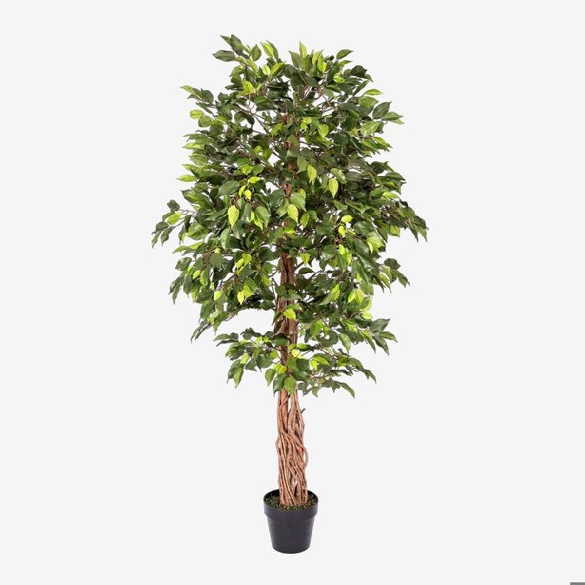 Ficus Artificiel-180cm intérieur et extérieur (Anti uv)