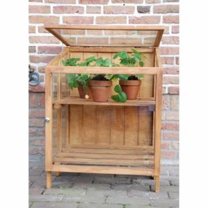 SERRE DE JARDINAGE Esschert Design Serre petite Bois dur GT32 - Omabeta - J10023