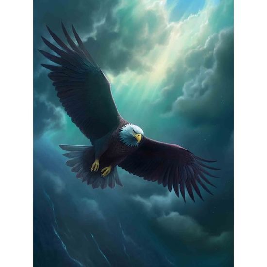 Bimkole 5D Diamond Painting DIY Kits Ciel D'Aigle, Animal Broderie Diamant Kits De Broderie Au Point De Croix Strass Rond Résine Peinture Décor à La Maison 30X40cm