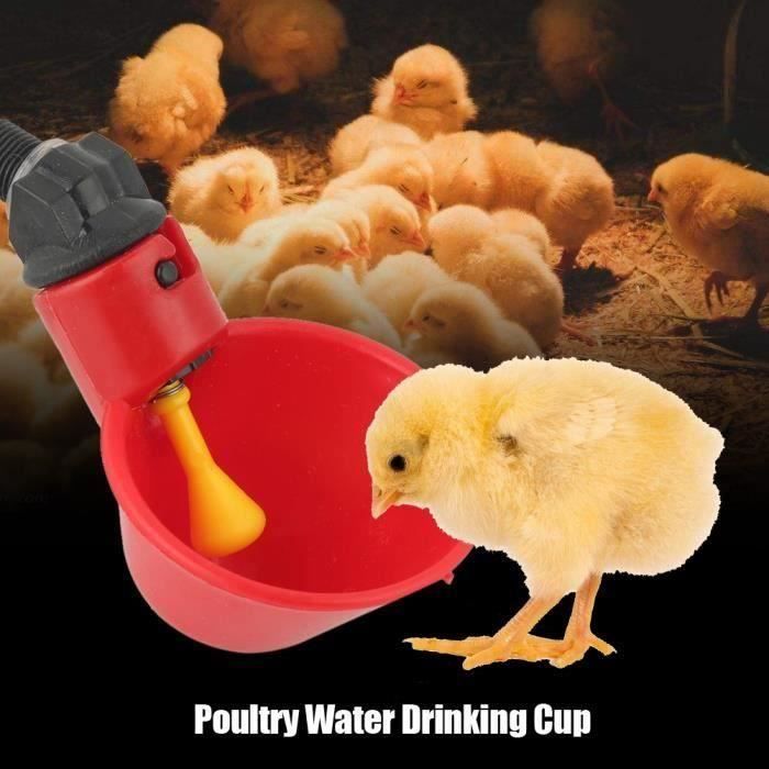 INGSHOP© 10 Tasses d'eau pour abreuvoir poule poulet bétail