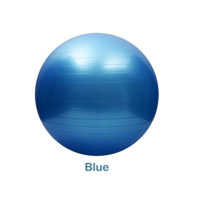 NEUFU Ballon de Gymnastique Avec Pompe Anti-éclatement épaissie PVC Fitness Balance Ball Bleu 55cm