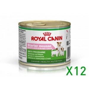 Royal Canin Wet Starter Mousse M&B