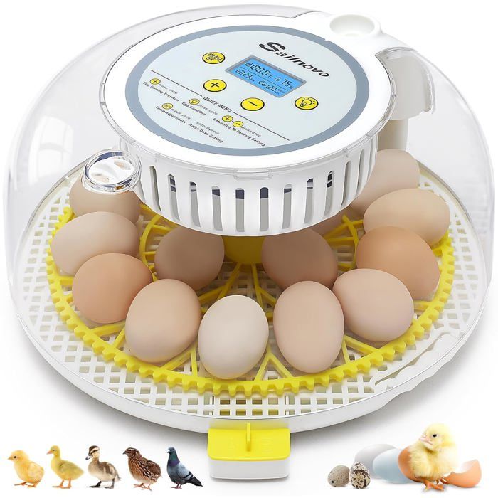Couveuse Oeuf Automatique 26 Oeufs, Incubateur Oeuf Automatique avec Écran Tactile Couleur