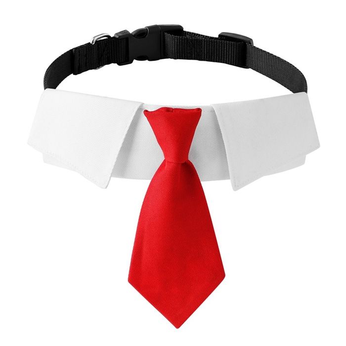 Costume de mariage pour chien - Phoesky - Polyester - Décoration de col de cravate - Luxe britannique - Moderne