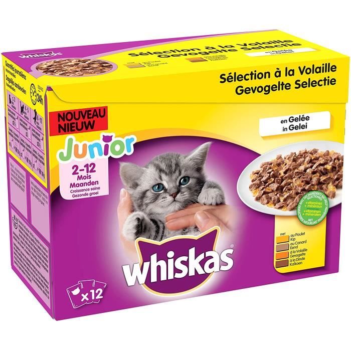 Nourriture pour chats Whiskas Junior - Sachets fraîcheur pour jeune chat et  chaton (2-12 mois), sélection mixte en gelée 38660 - Cdiscount