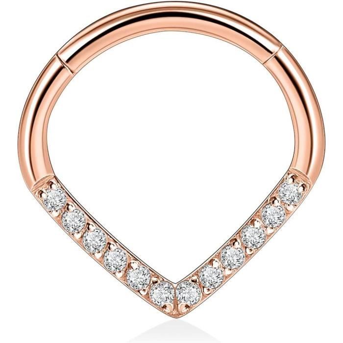 Anneaux De Nez G23 En Titane - 18 G 16 G 14 G