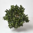 Plante Artificielle Figuier Pleureur Ficus Benjamina Vert 180 cm-1