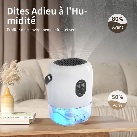 Déshumidificateur électrique 1000ml - Pour Pièces Jusqu'à 20m² - Arrêt Automatique, Dégivrage Auto - Silencieux Pour Salle De Bain, Chambre