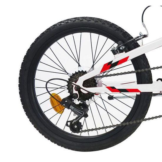 VTT 20 Pouces Enfant Dès 5 Ans – 6 Vitesses, Freins V-Brake, Garde-boue, Cadre Acier, 85 Kg Max – Garçons Et Filles