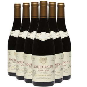 VIN ROUGE Maison Tramier Bourgogne Pinot Noir La Minée 2020 