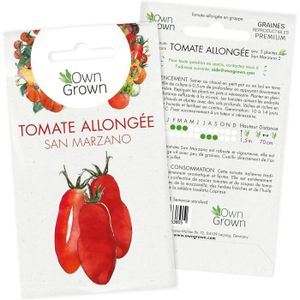 GRAINE - SEMENCE Graines de tomates San Marzano: Des semences de to
