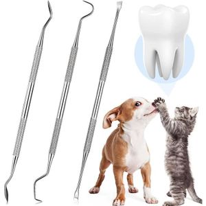 Grattoir dent chien - Cdiscount