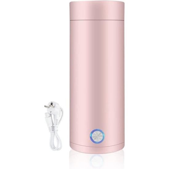 Bouilloire électrique De Voyage 500 Ml — Acier Inoxydable 316 — 4 Températures (45°C à 100°C) — Portable Pour Thé, Café, Lait
