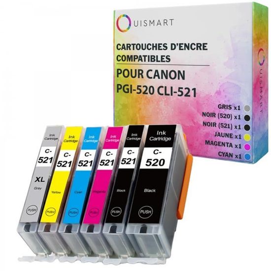 Lot De 10 Cartouches D'encre Génériques Pour Imprimante Canon PIXMA IP4700 (PGI-520 & CLI-521)