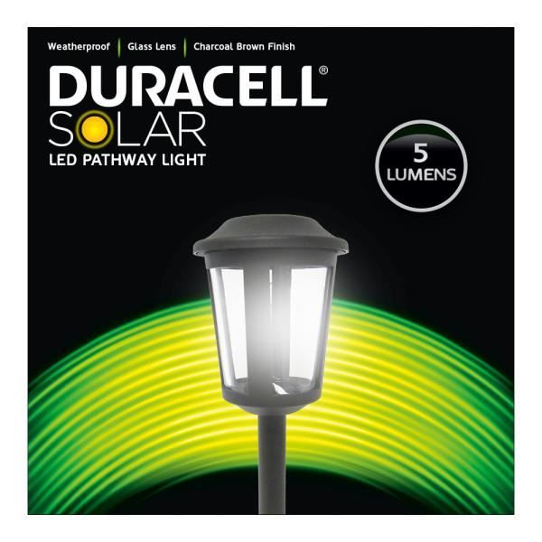 Duracell Silver solaire DEL Pathway Light acier inoxydable IP44 Jardin Extérieur
