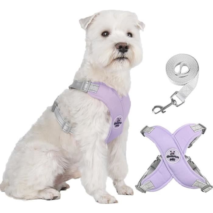 Harnais Anti-traction Pour Chien | Laisse Incluse, Maille Respirante - Taille XS à XL, Sécurité Réfléchissante - 2