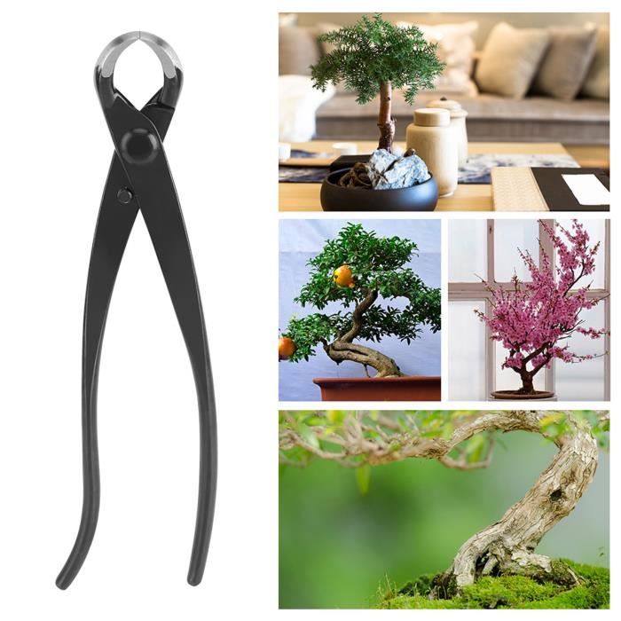 Coupe-Branche Concave OKBY 210mm - Acier Manganèse - Pour Bonsaï Et Jardinage - Coupe Propre Cicatrisation Rapide
