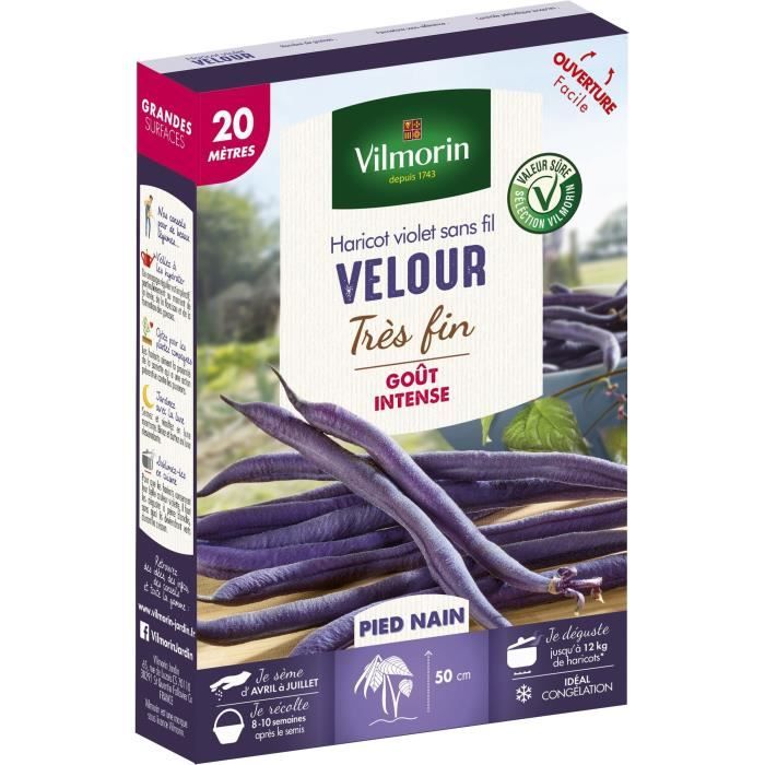 VILMORIN Graines de haricot velour gousse violette - 20 M