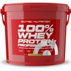 Scitec Nutrition 100% Whey Protein Professional Redesign, 5000 g Eimer (Banane)