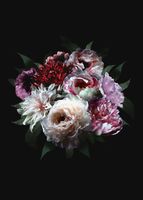 papier peint panoramique nature morte de fleurs multicolore sur noir - 2 x 2,79 m - 158944