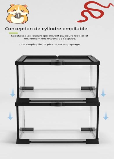 Terrarium Transparent Pour Reptiles – Cage D'élevage Pour Escargots
