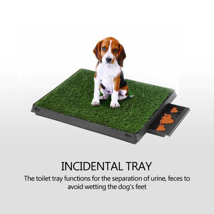 Tapis de propreté animaux compagnie chat chien chiot herbe plateau toilettes intérieures