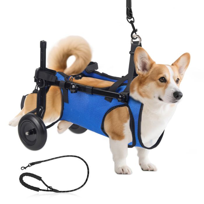 Fauteuil roulant pour chien chariot réglable avec roues pour les pattes arrière attelle et support de hanche pour chien